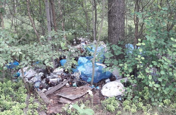 Несанкционированная свалка мусора в лесу